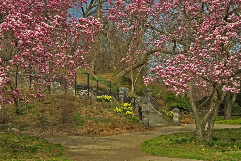 Philadelphia Park